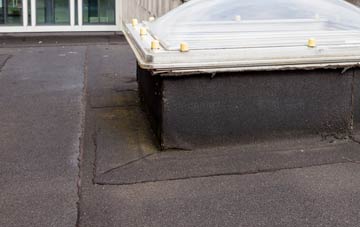 disadvantages of Wix flat roofs