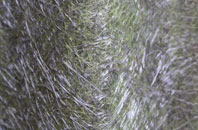 Wix fibreglass roof work